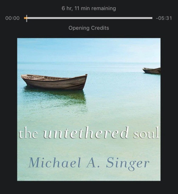 The Untethered Soul by Michael Singer