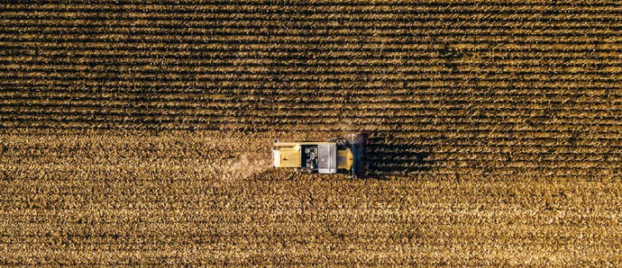 Prepare for Harvest