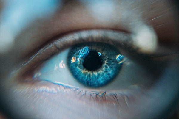 Your Vision is More Than What You See
