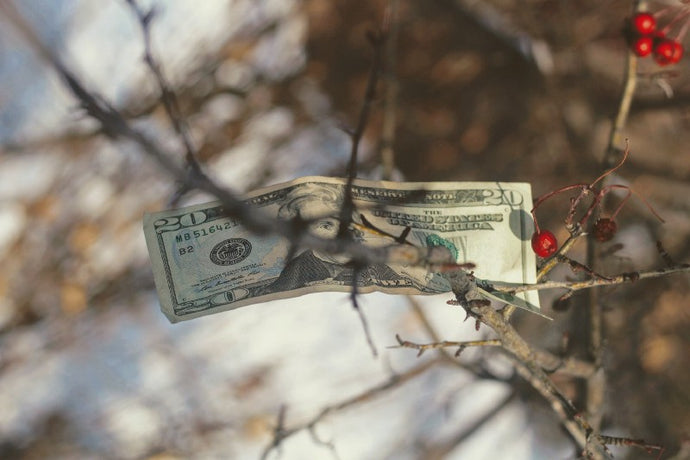 Gratitude and Giving — A Personal Testimony