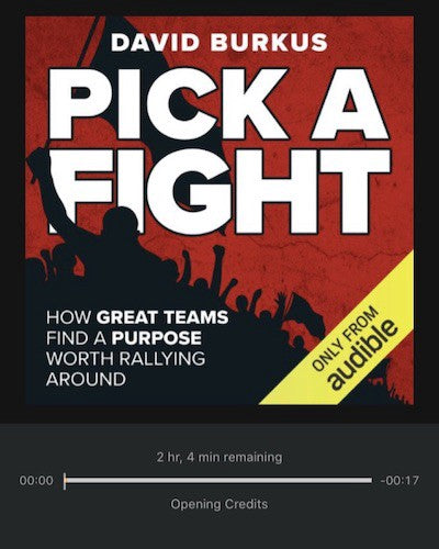 Pick a Fight: How Great Teams Find a Purpose Worth Rallying Around by David Burkus