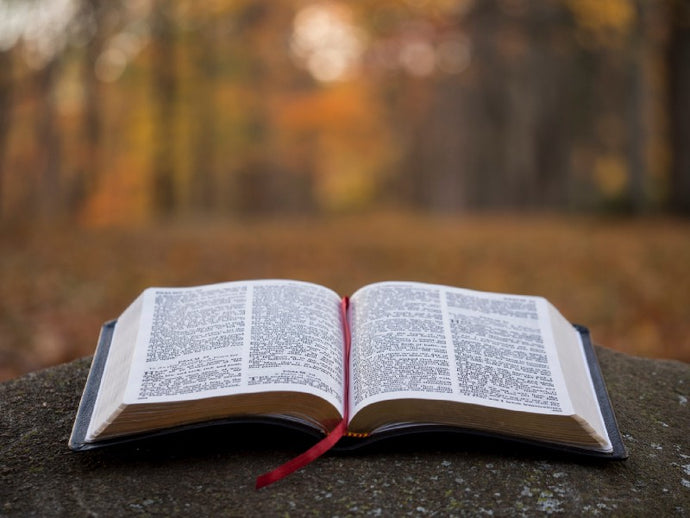 The Link Between Stewardship and Generosity